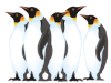 Captcha image 1116